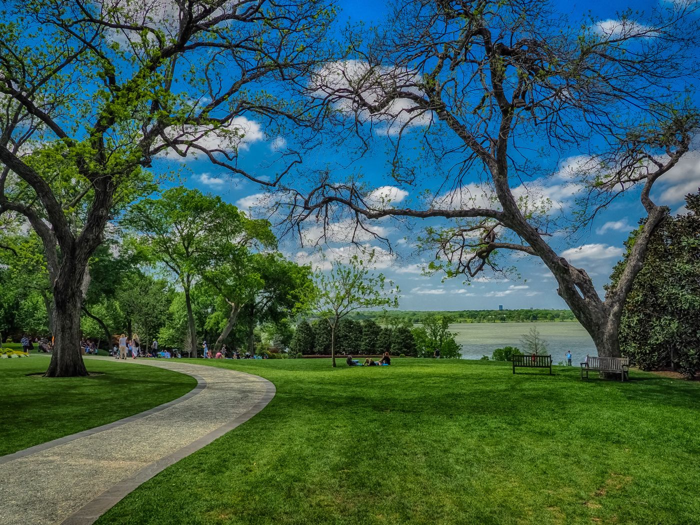 Зеленые газоны в парке на фоне красивого голубого неба