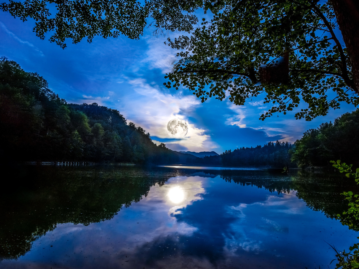 Большая луна отражается в водоеме 