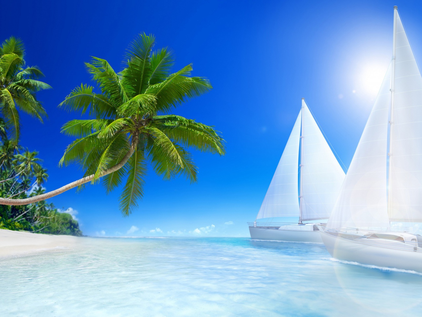 Белые парусники под солнцем у пляжа 