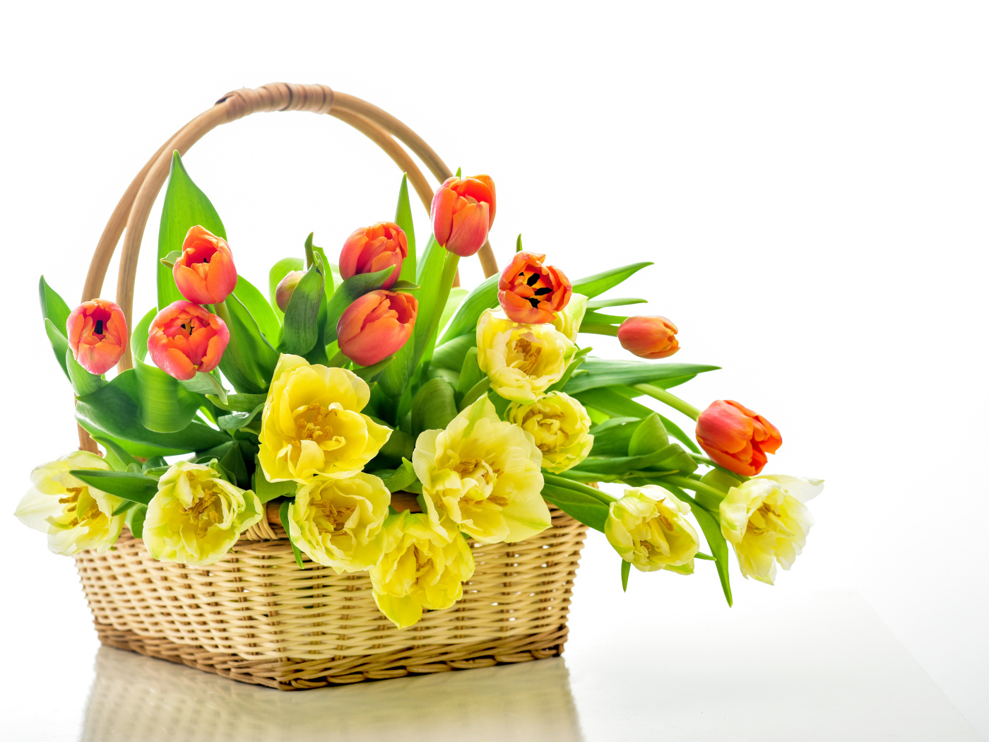 Корзина с желтыми и оранжевыми тюльпанами на белом фоне