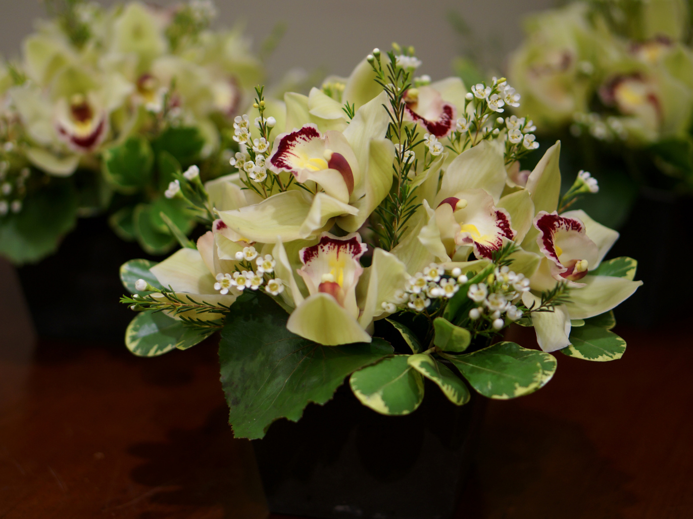 Букет нежной орхидеи и морозника