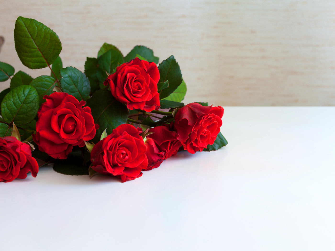 Букет красных роз на белой поверхности, шаблон