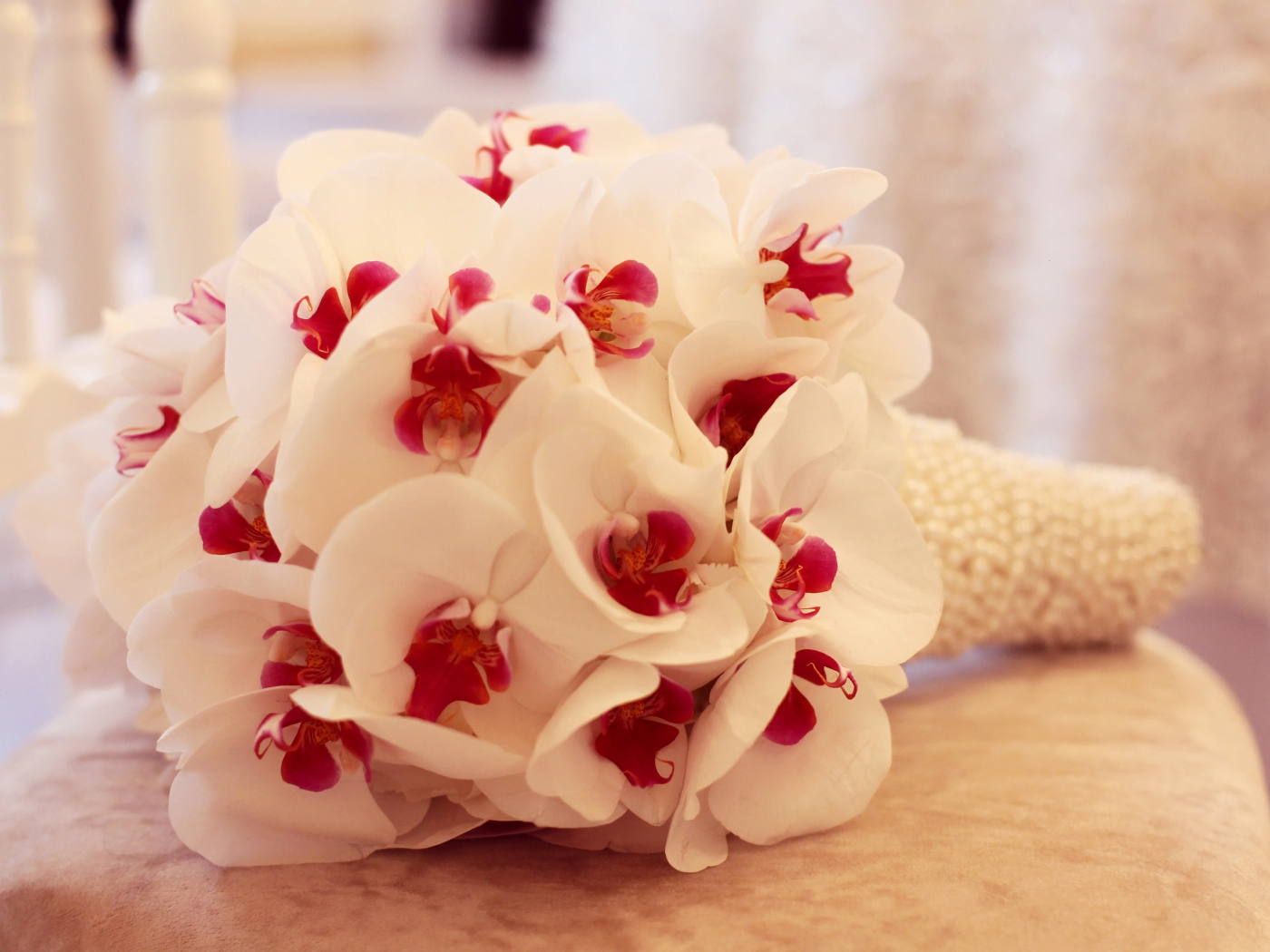 Нежный букет белой орхидеи