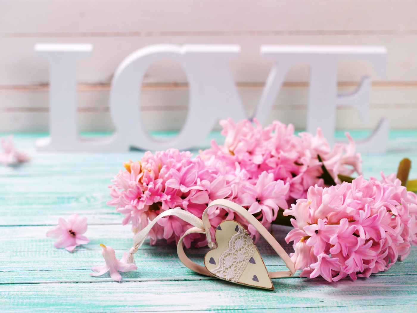 Розовые весенние цветы крокусы с сердечком и белой надписью LOVE