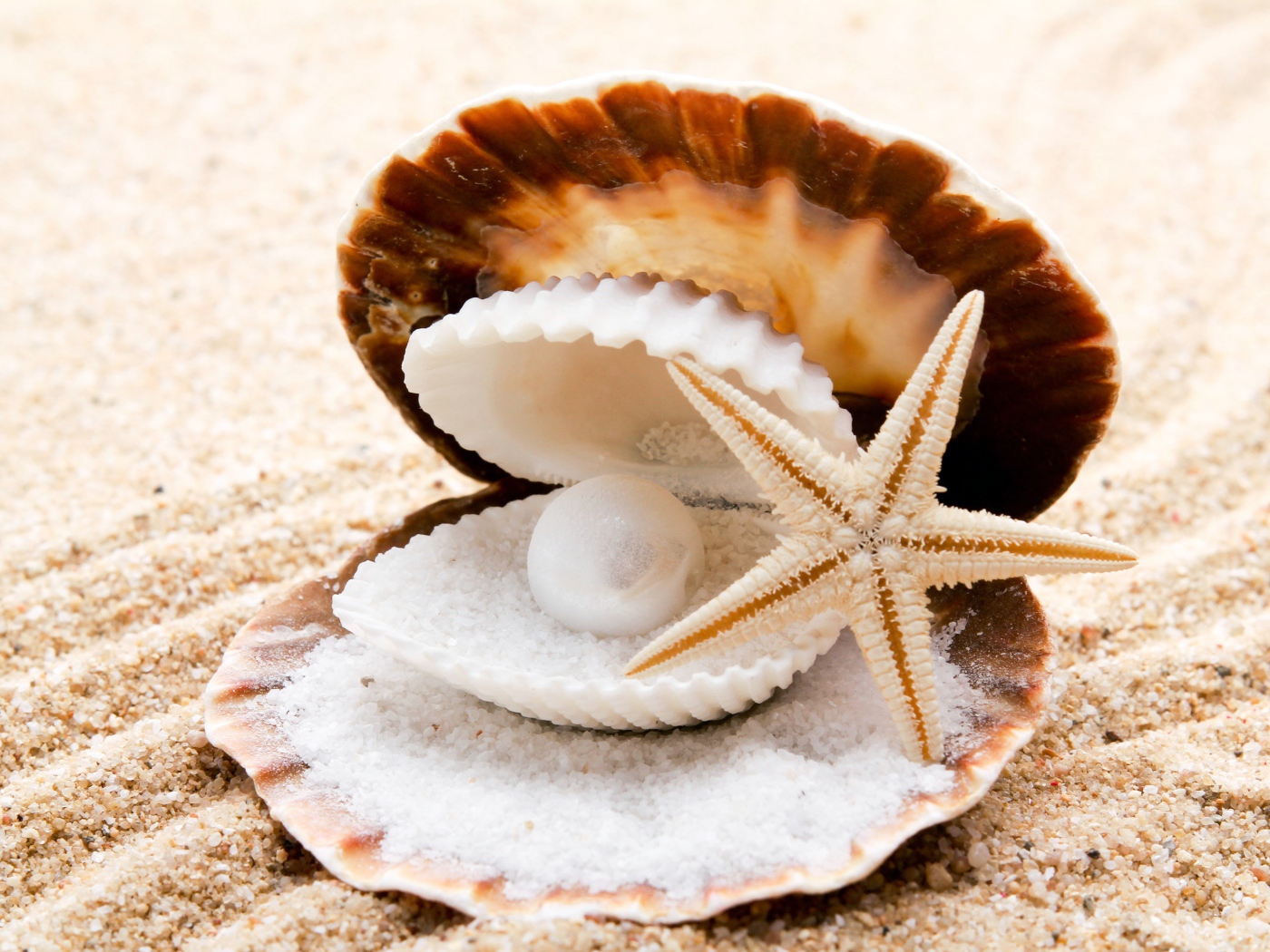 Ракушка с жемчужиной и морская звезда на белом песке у моря