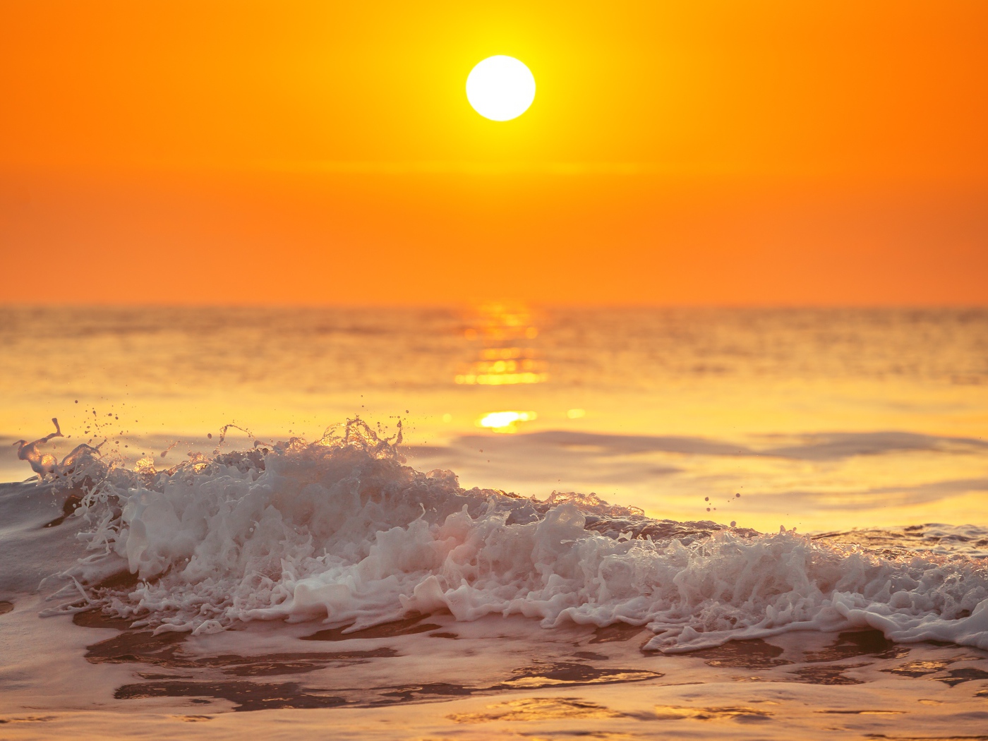 Белая пена на морском берегу в свете солнца на закате