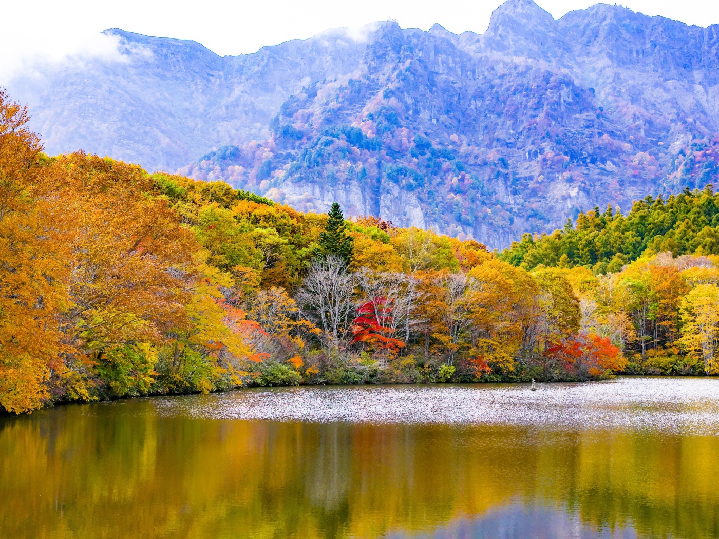 Осенний лес у озера на фоне горы, Япония