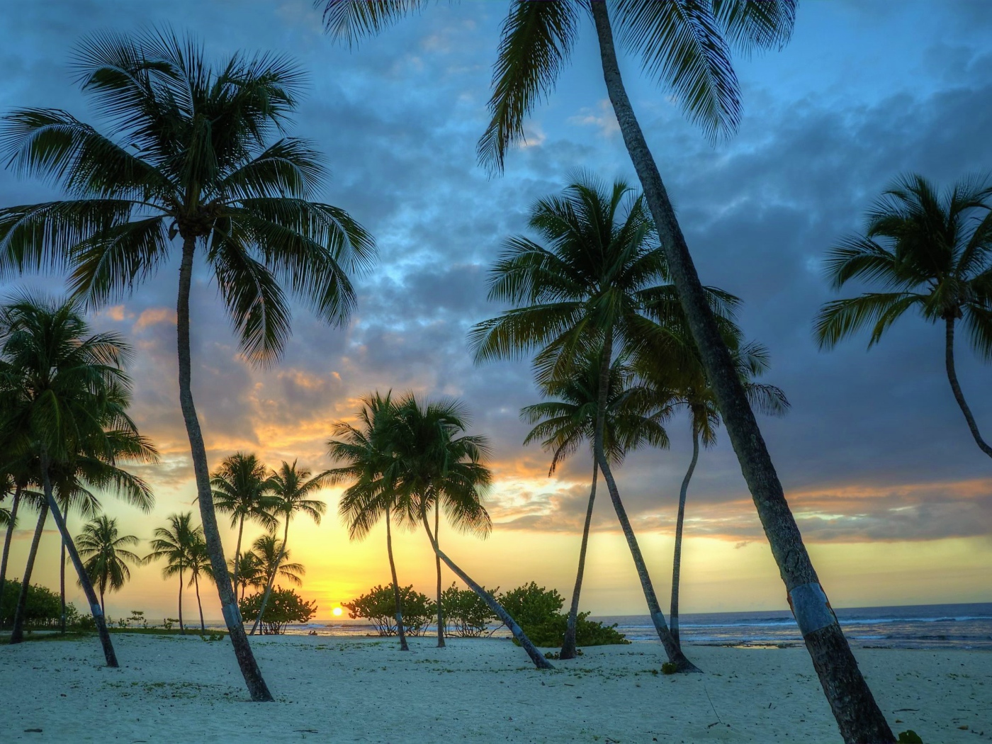 Пальмы на белом песке на закате солнца у океана