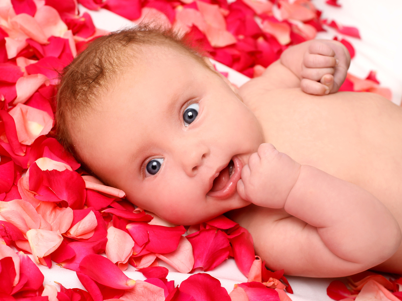 Грудной ребенок лежит на лепестках красной розы