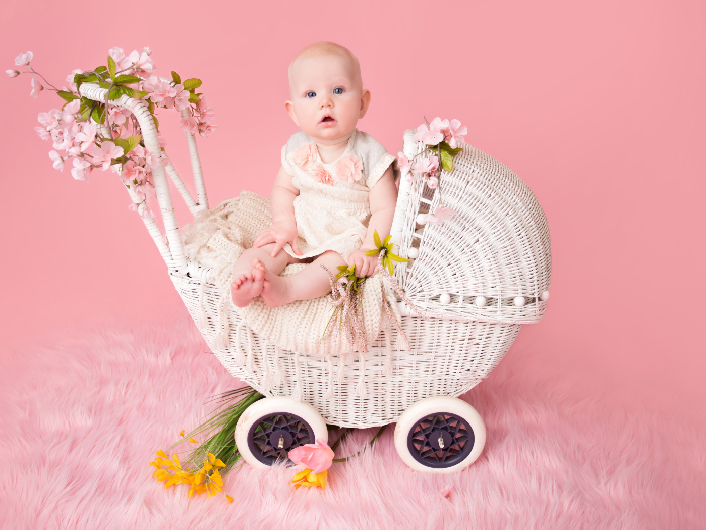 Младенец девочка сидит в коляске на розовом фоне