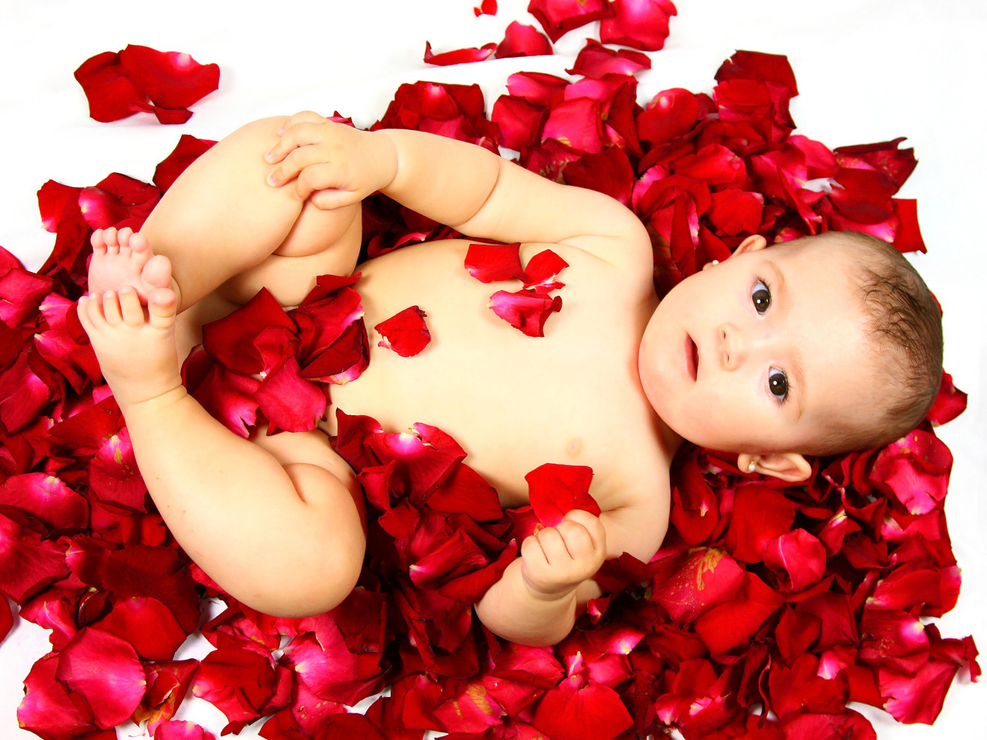 Милый грудной ребенок лежит на лепестках розы на белом фоне
