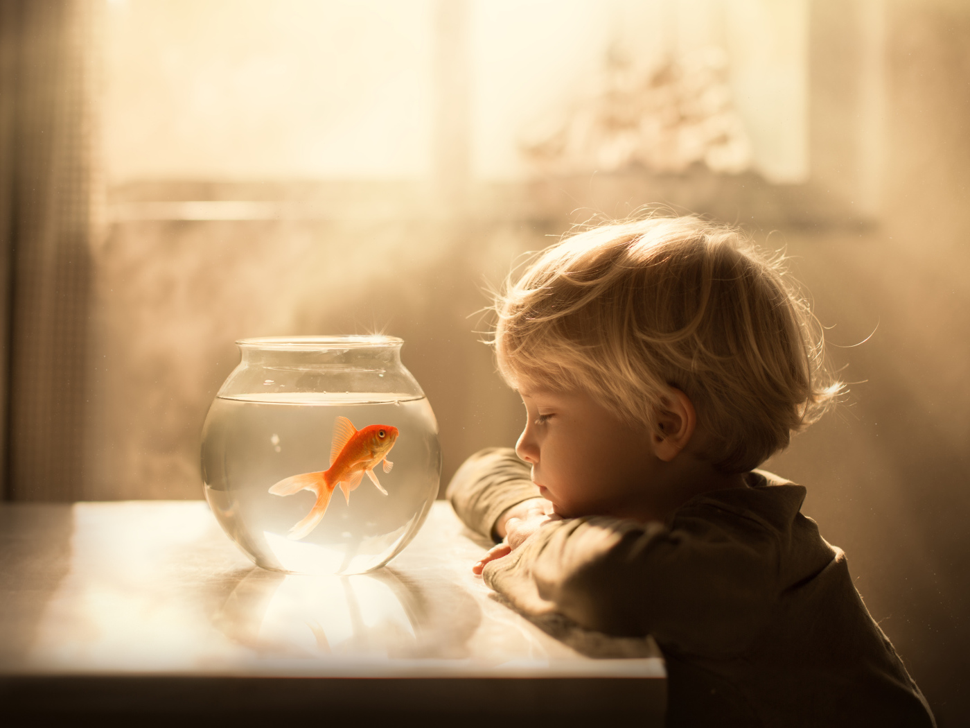 Маленький мальчик смотрит на аквариум с золотой рыбкой