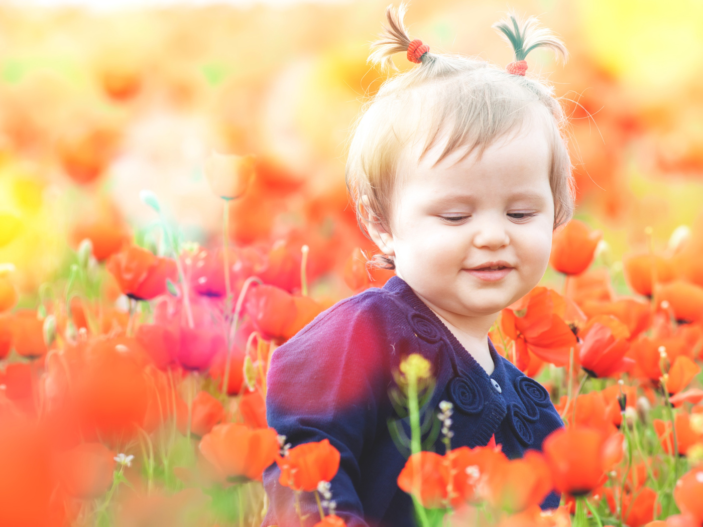 Маленькая девочка в красных цветах мака 