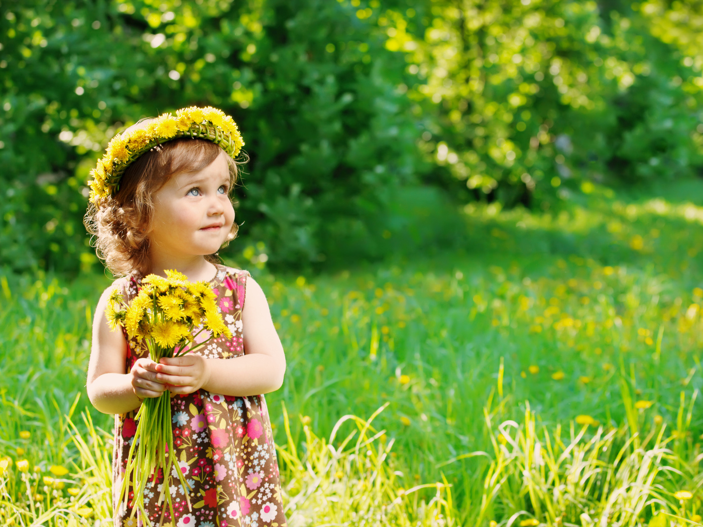 Маленькая девочка с букетом одуванчиков 