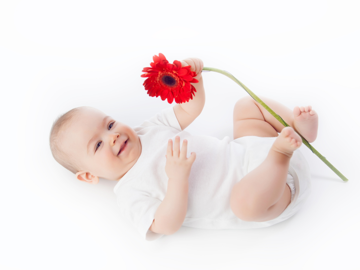 Улыбающийся младенец с цветком красной герберы на белом фоне