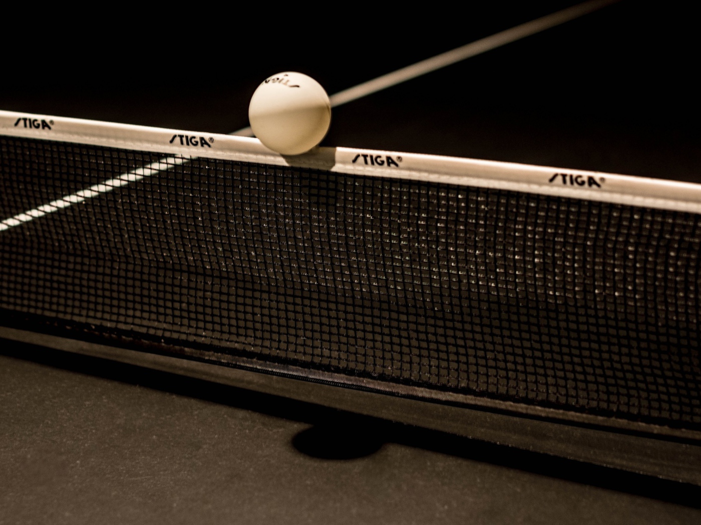 Мяч для настольного тенниса на сетке 