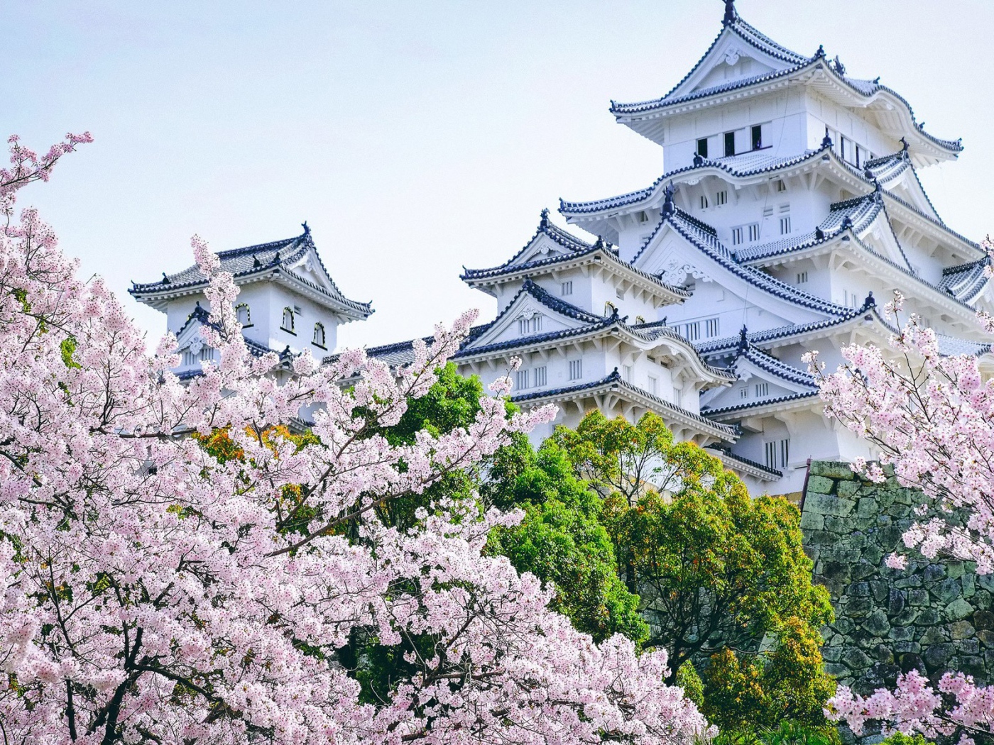 Древнейший замок Химэдзи в садах цветущей сакуры, Япония 