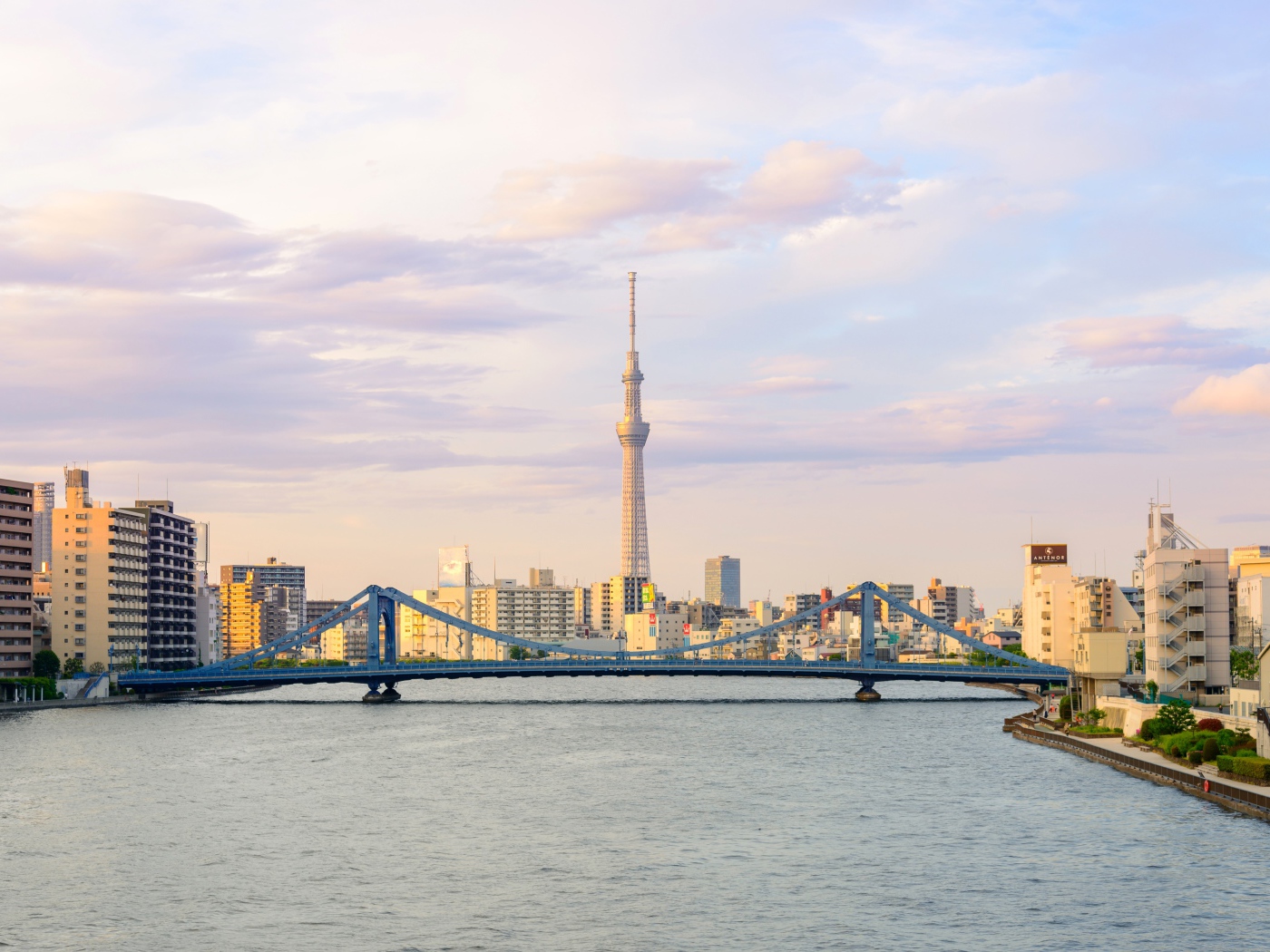 Панорама города Токио на фоне реки, Япония