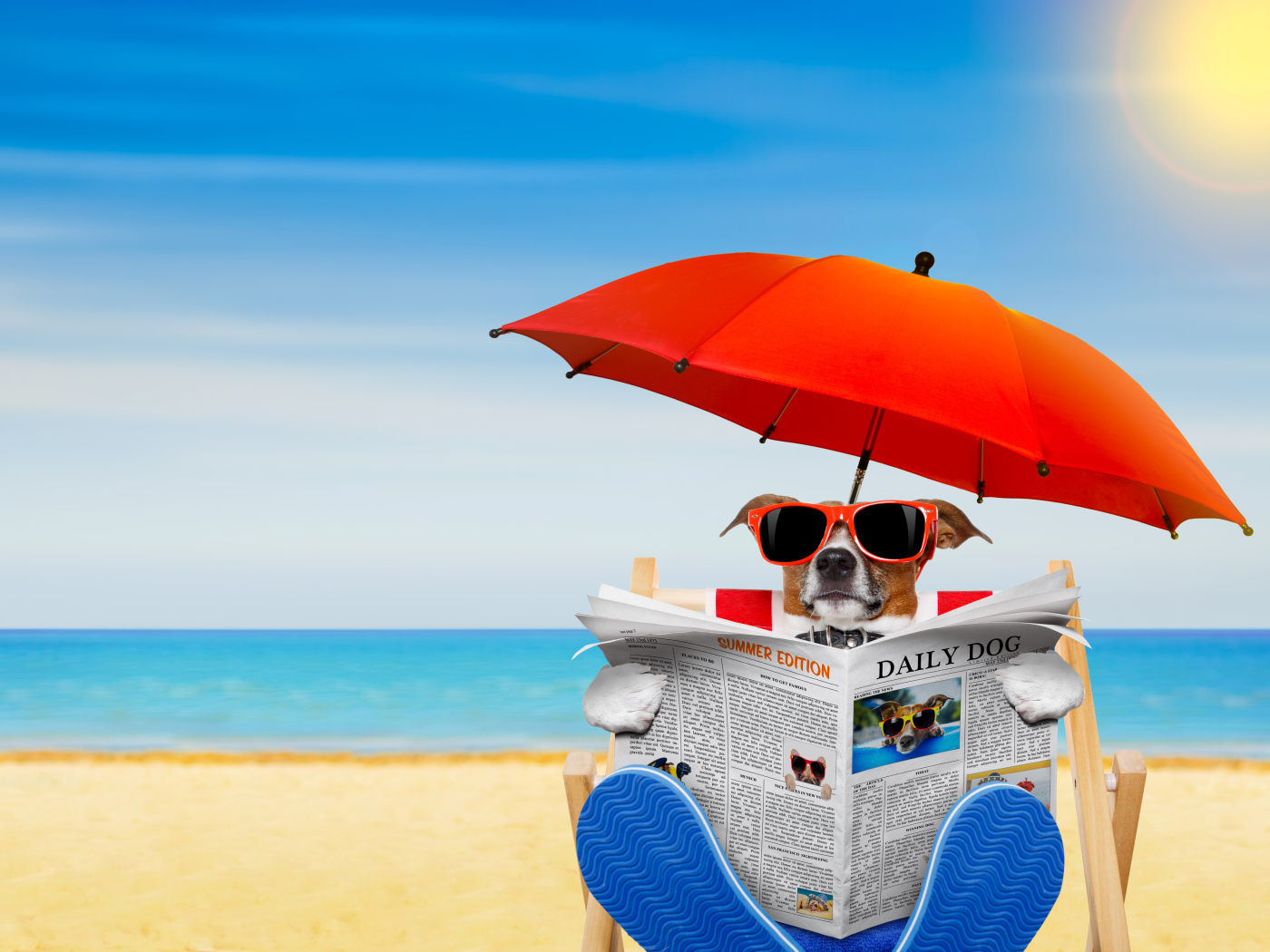 Джек-рассел-терьер в очках с газетой под зонтом на пляже