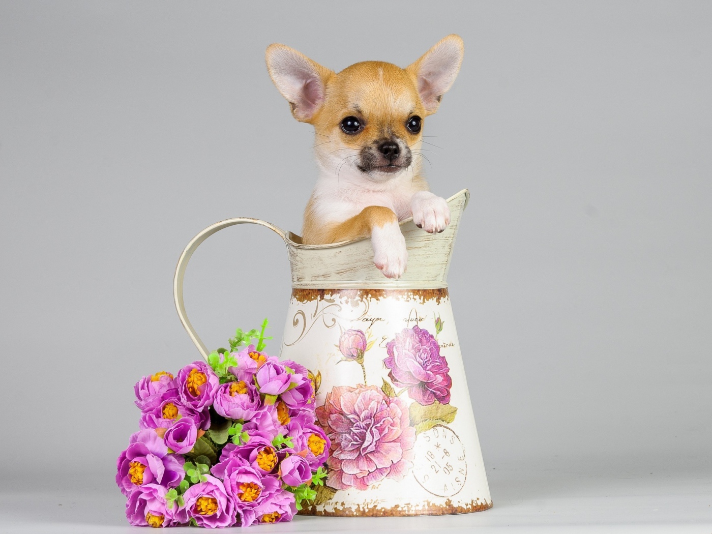 Маленький щенок в вазе с букетом на сером фоне