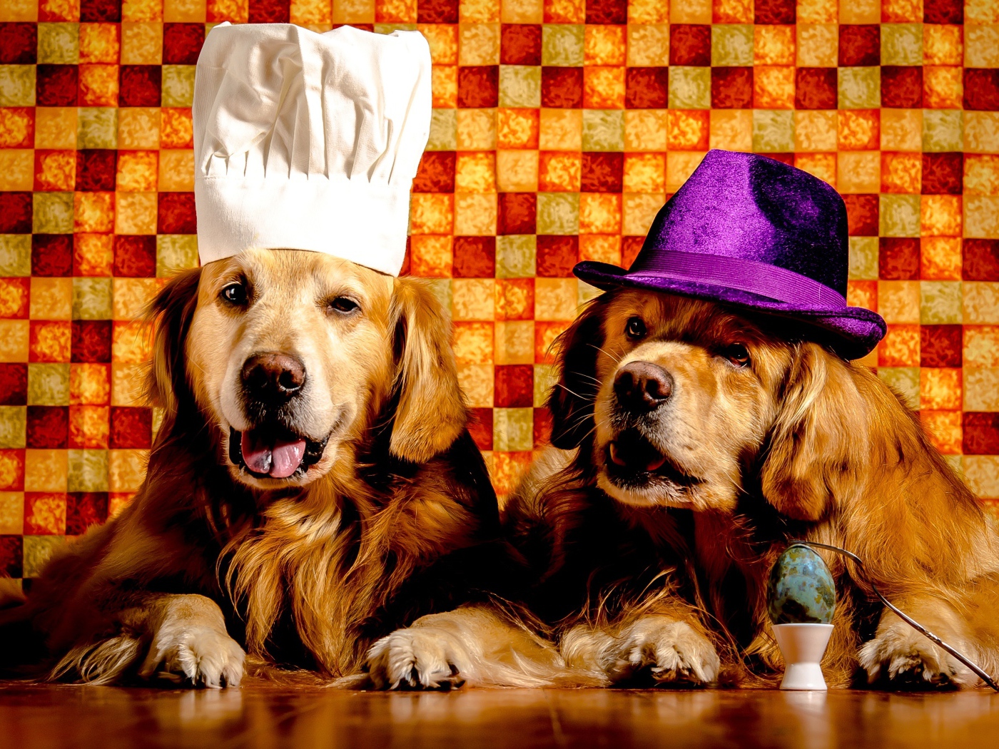 Два забавных золотистых ретривера в шапках