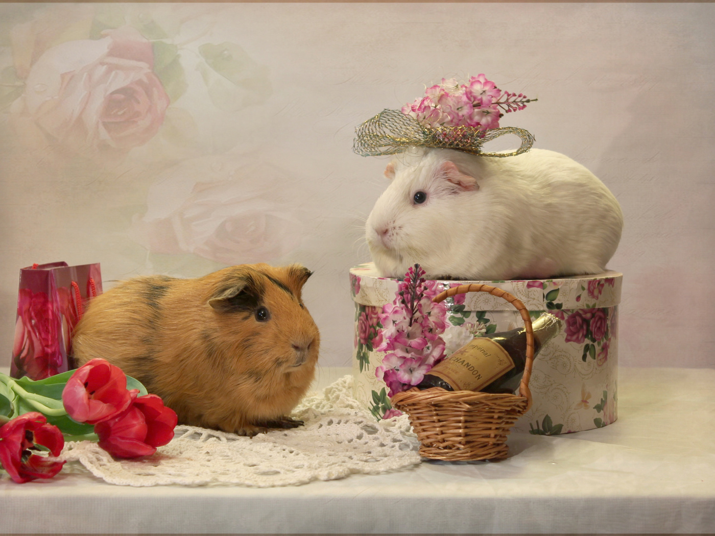 Две морские свинки с цветами