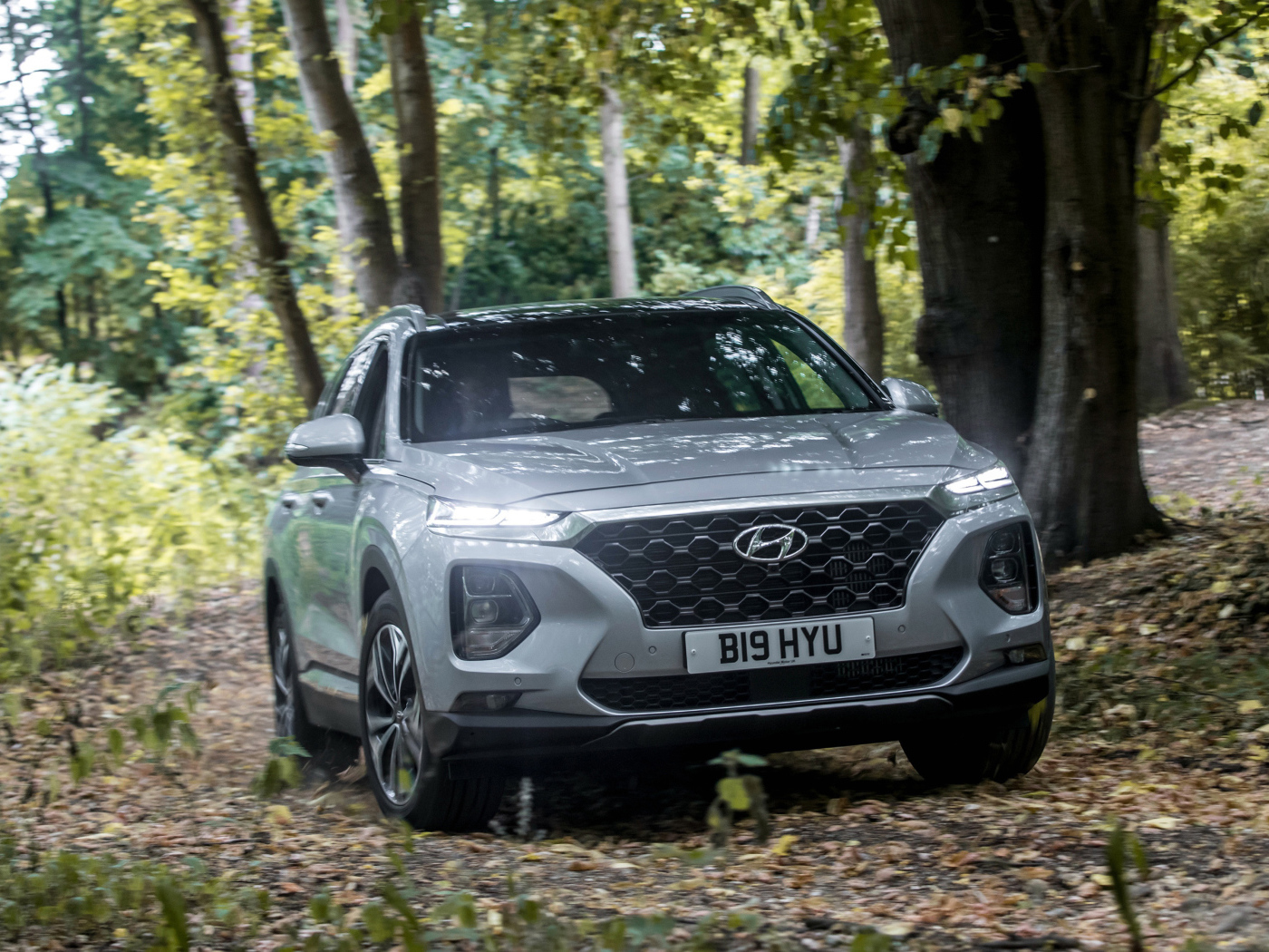 Серебристый автомобиль Hyundai Santa Fe, 2019 года в лесу