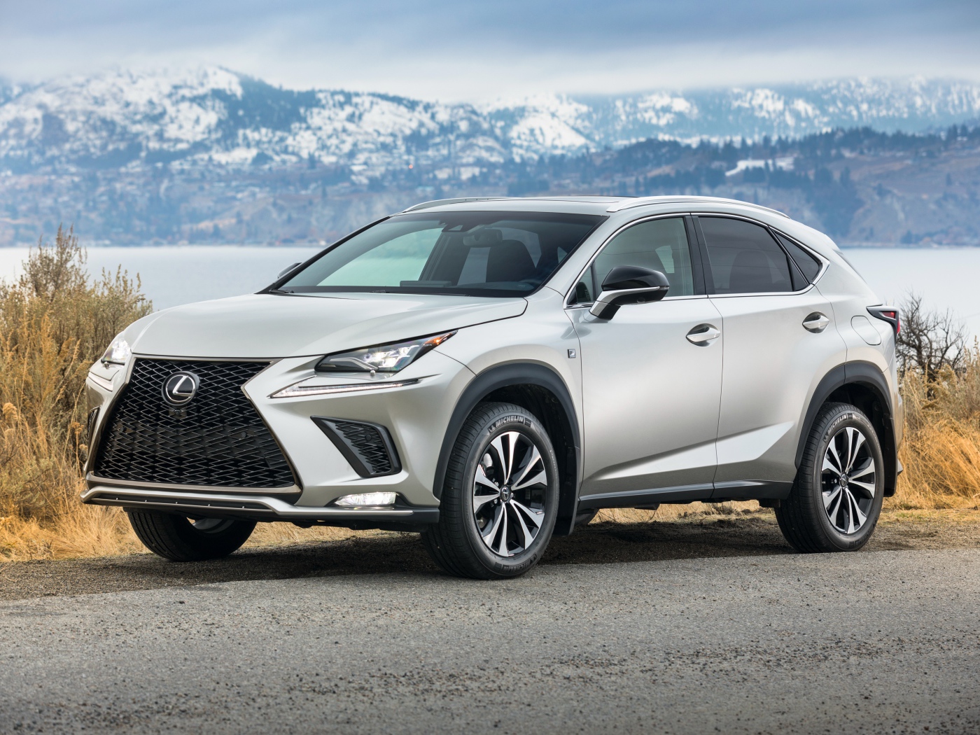Серебристый автомобиль Lexus  NX 300 F SPORT, 2018