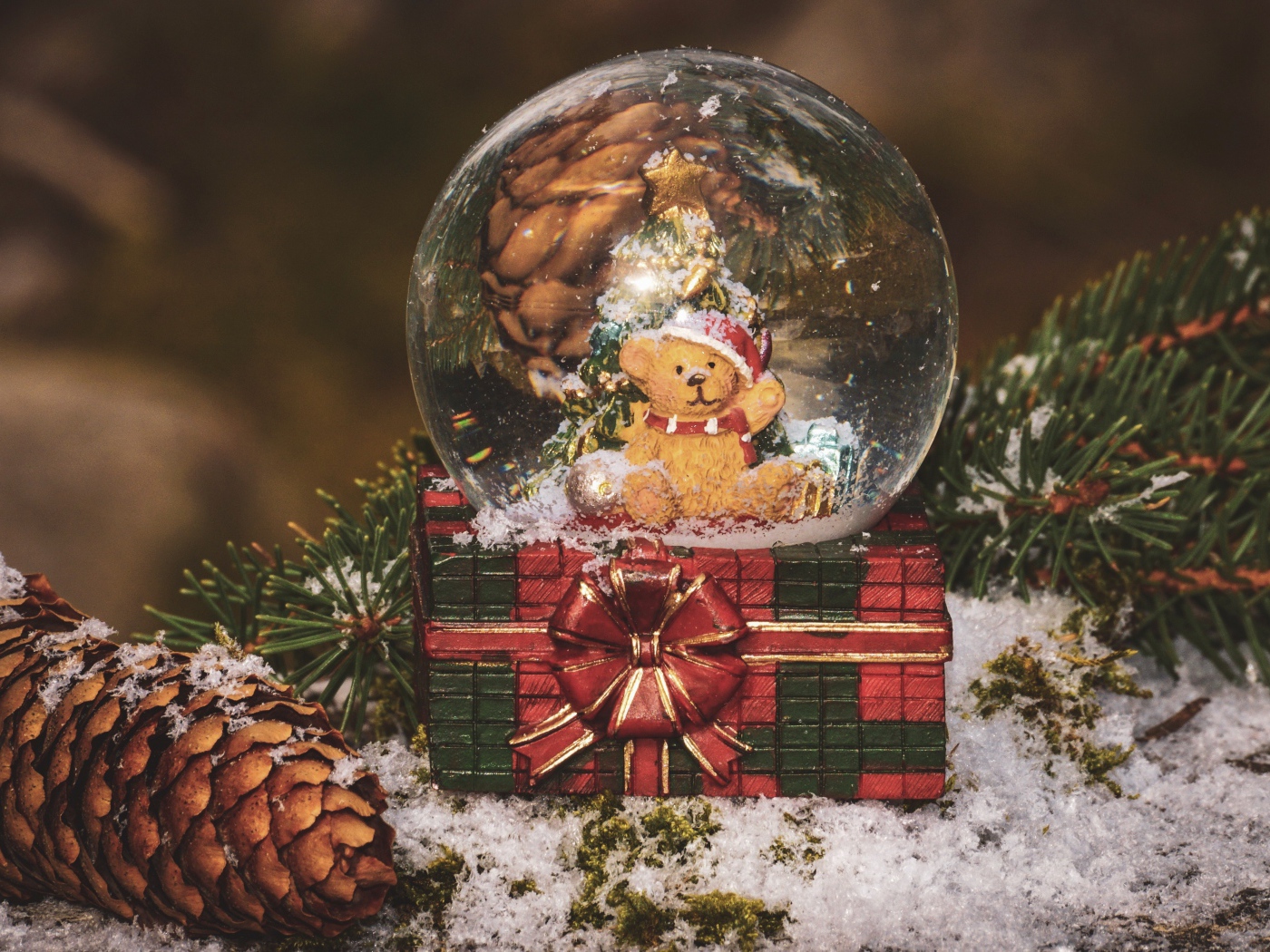 Снежный шар с медвежонком на столе с большой шишкой и еловой веткой 