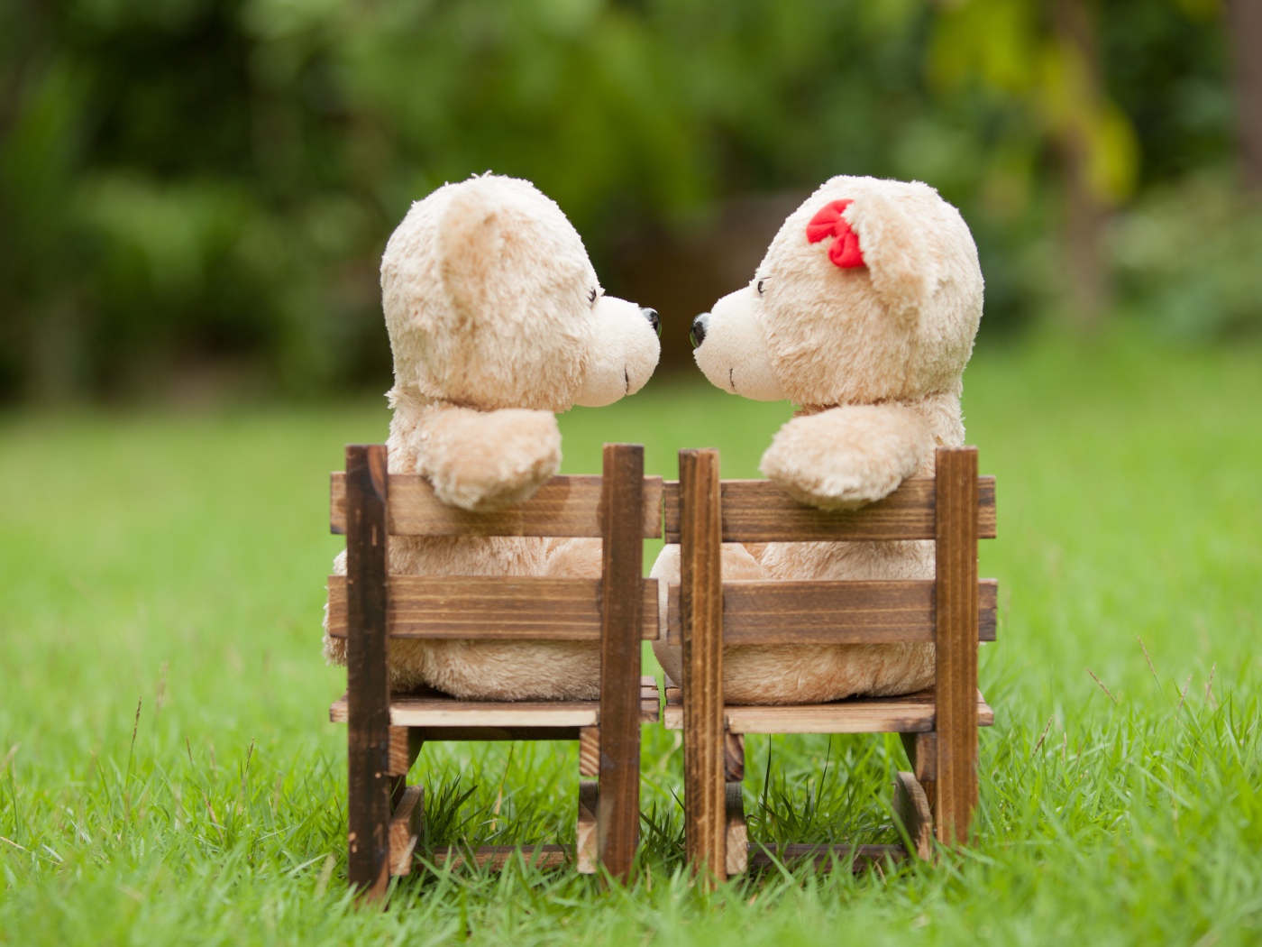 Два плюшевых мишки на деревянных креслах на зеленой траве