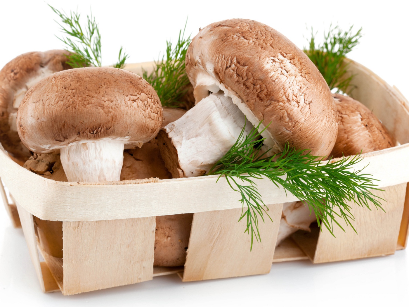 Champignon mushrooms in a wooden basket with dill on a white background