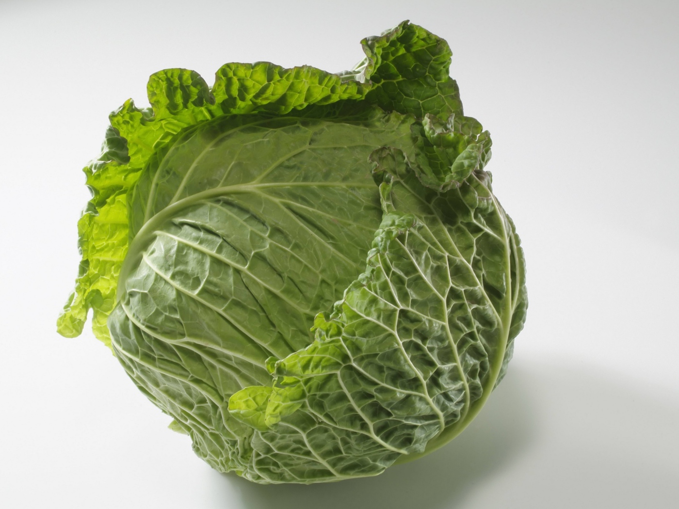 Green head of cabbage on a gray background