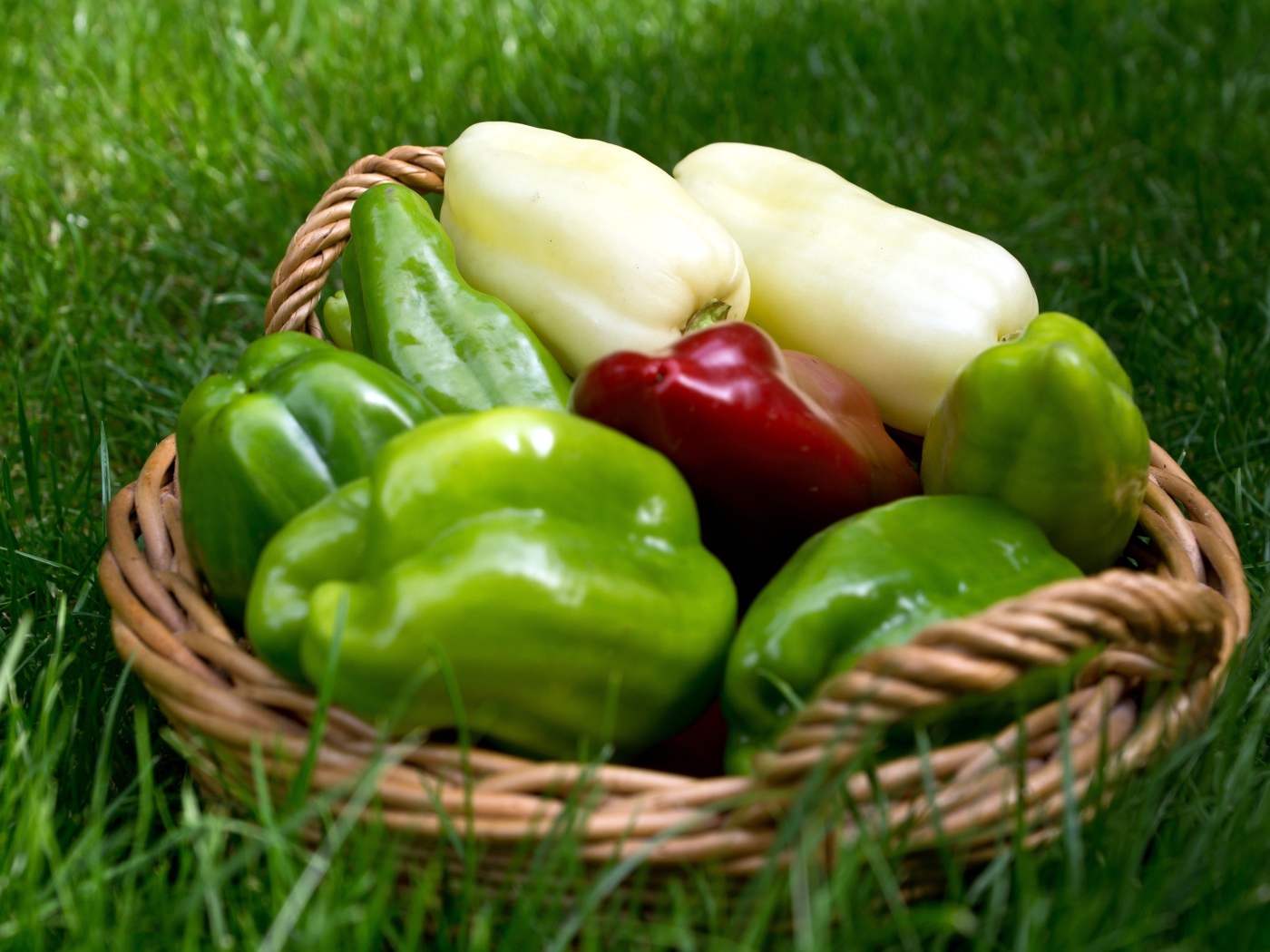 Разноцветный сладкий перец в корзинке стоит на зеленой траве