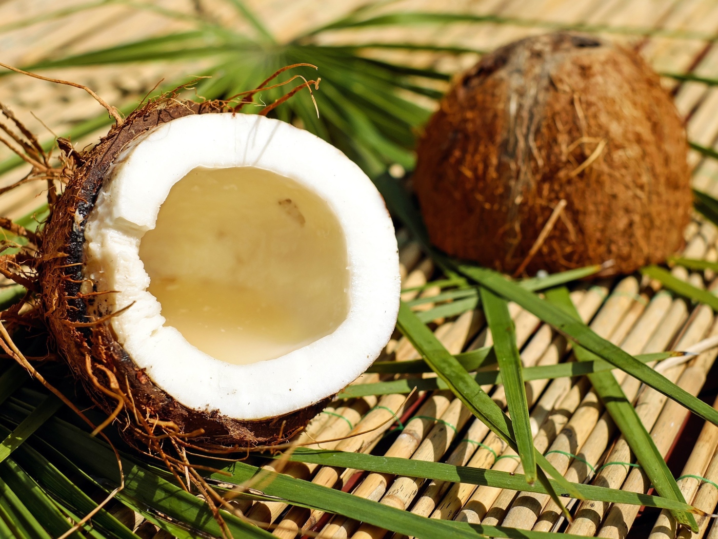 Разбитый кокос лежит на зеленых пальмовых листьях