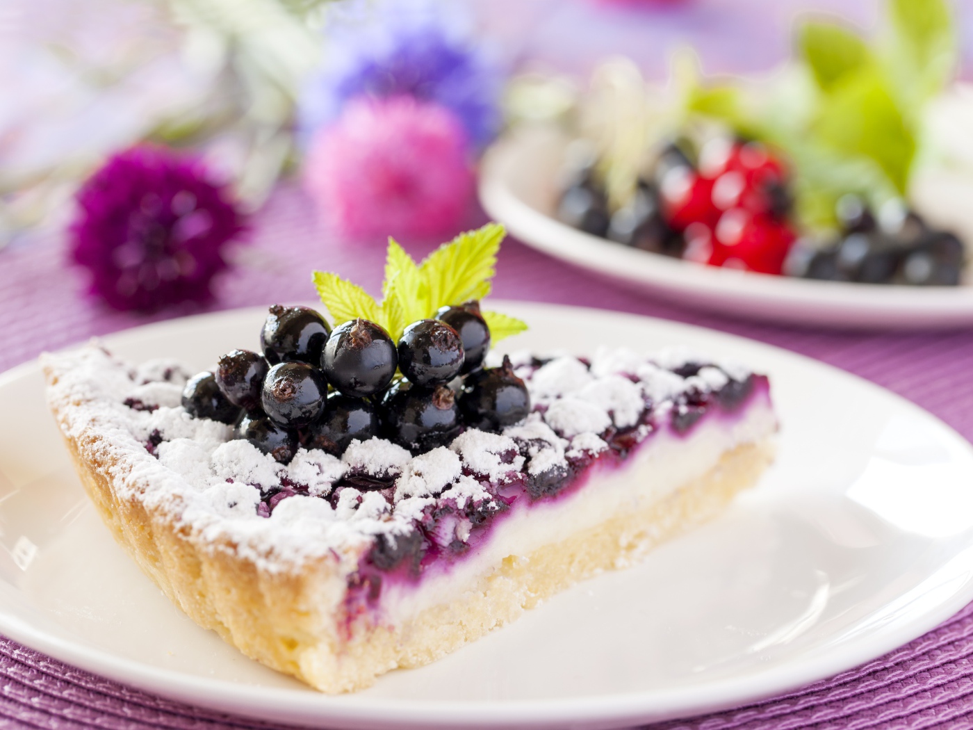 Кусок пирога с черной смородиной на белой тарелке 