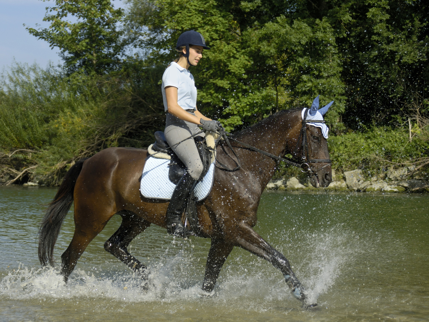 Молодая девушка на лошади скачет по воде