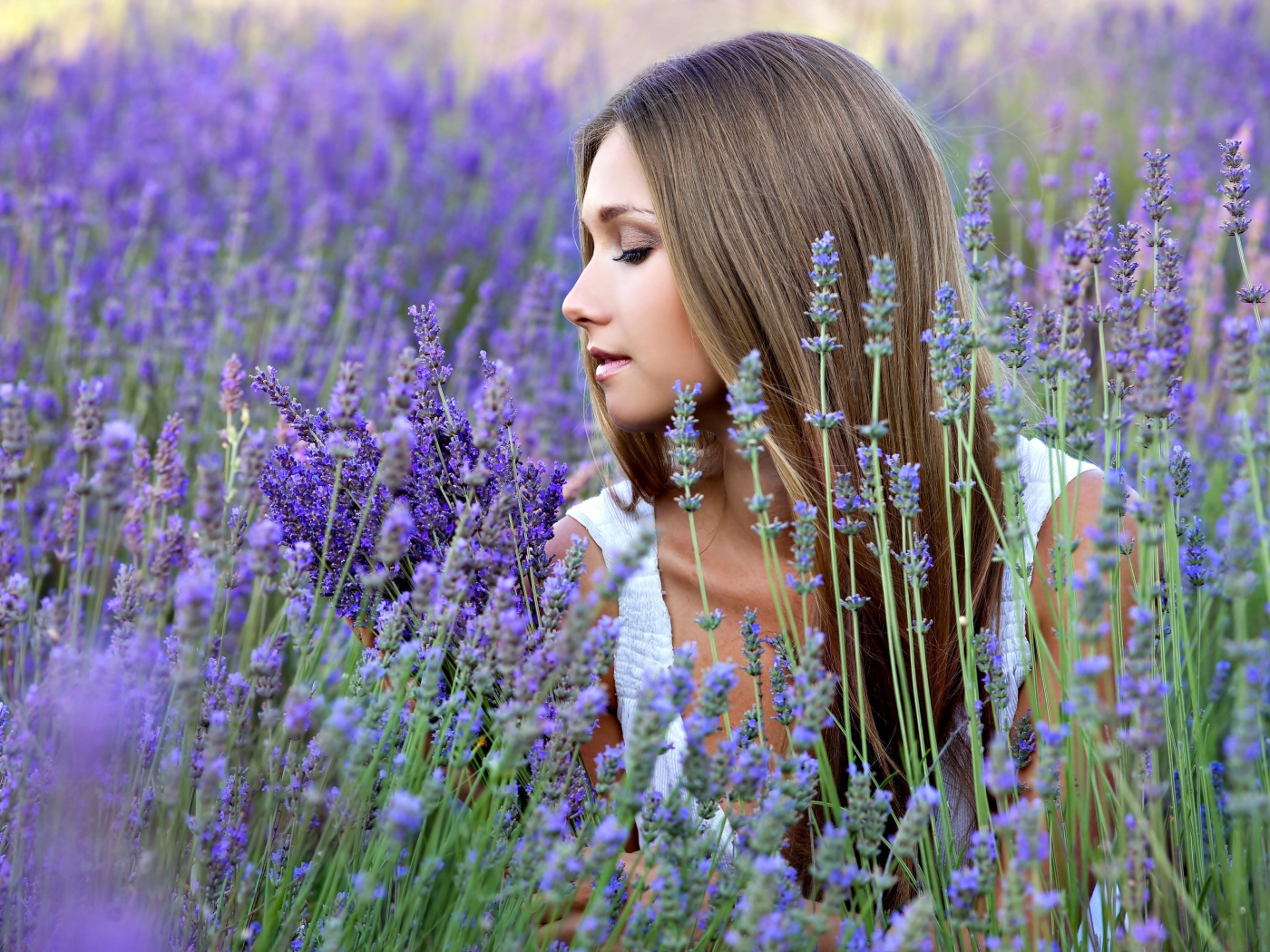 Нежная красивая девушка в цветах лаванды