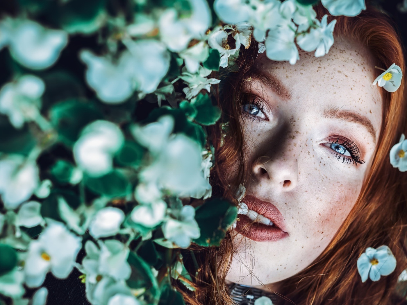 Рыжеволосая девушка с веснушками в белых цветах 