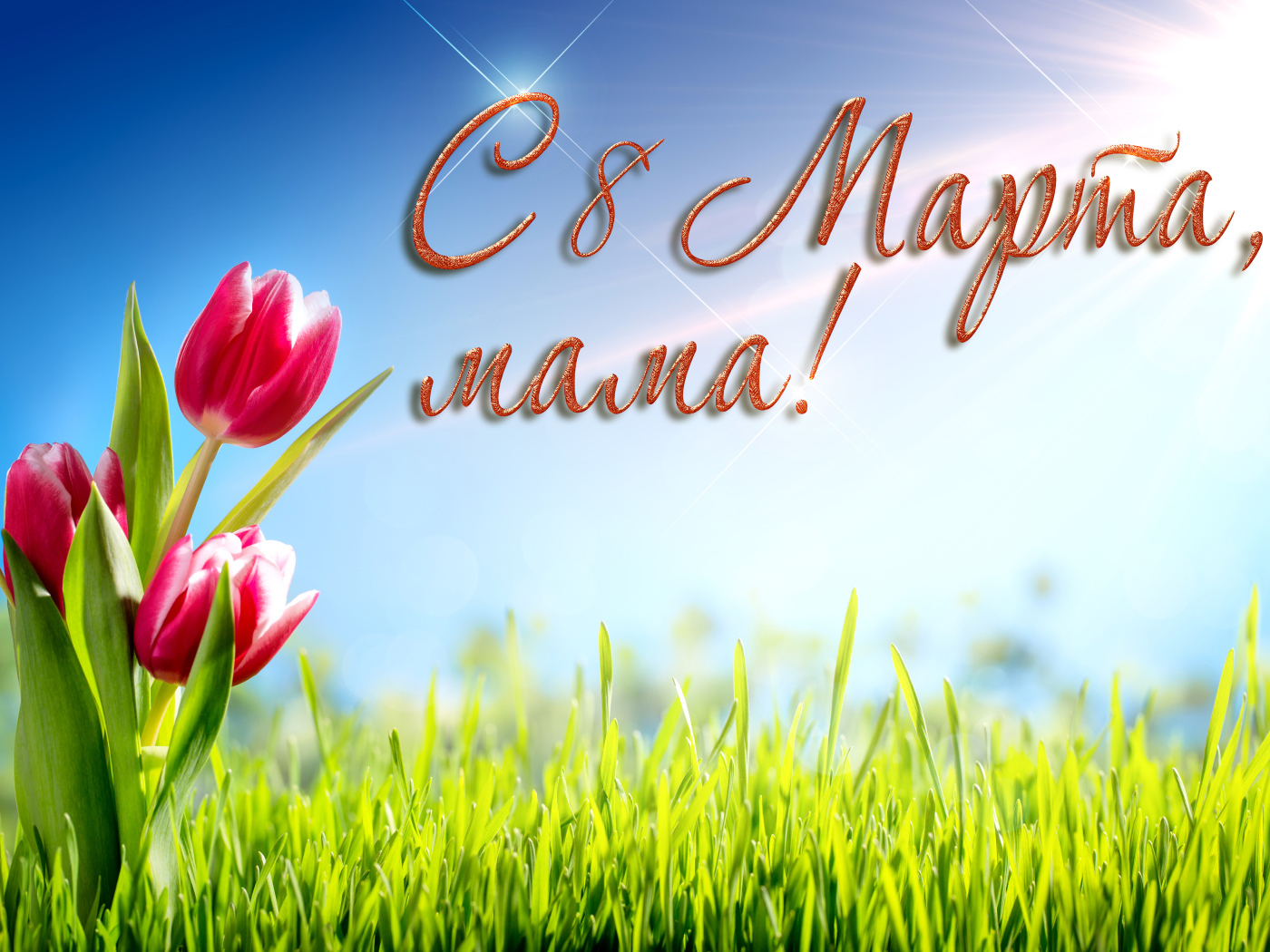 Красивые тюльпаны, на 8 марта поздравление для мамы
