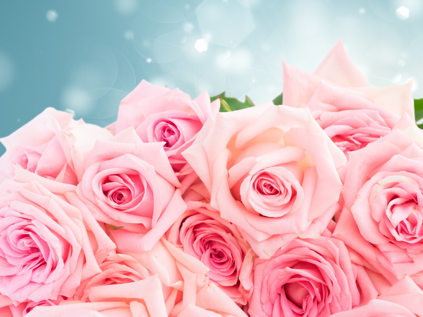 Большой красивый букет розовых роз в подарок на 8 марта