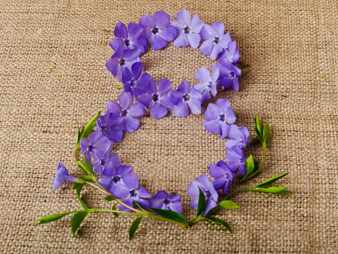 Цифра 8 из сиреневых цветов на Международный женский день 8 марта