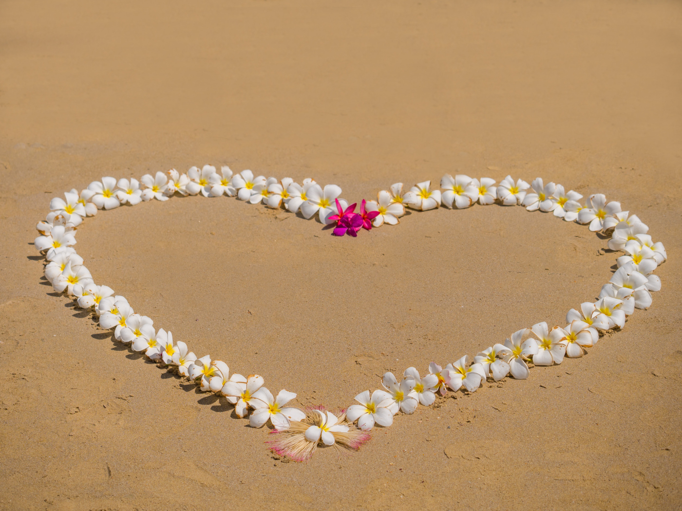 Сердце из цветов плюмерии на песке