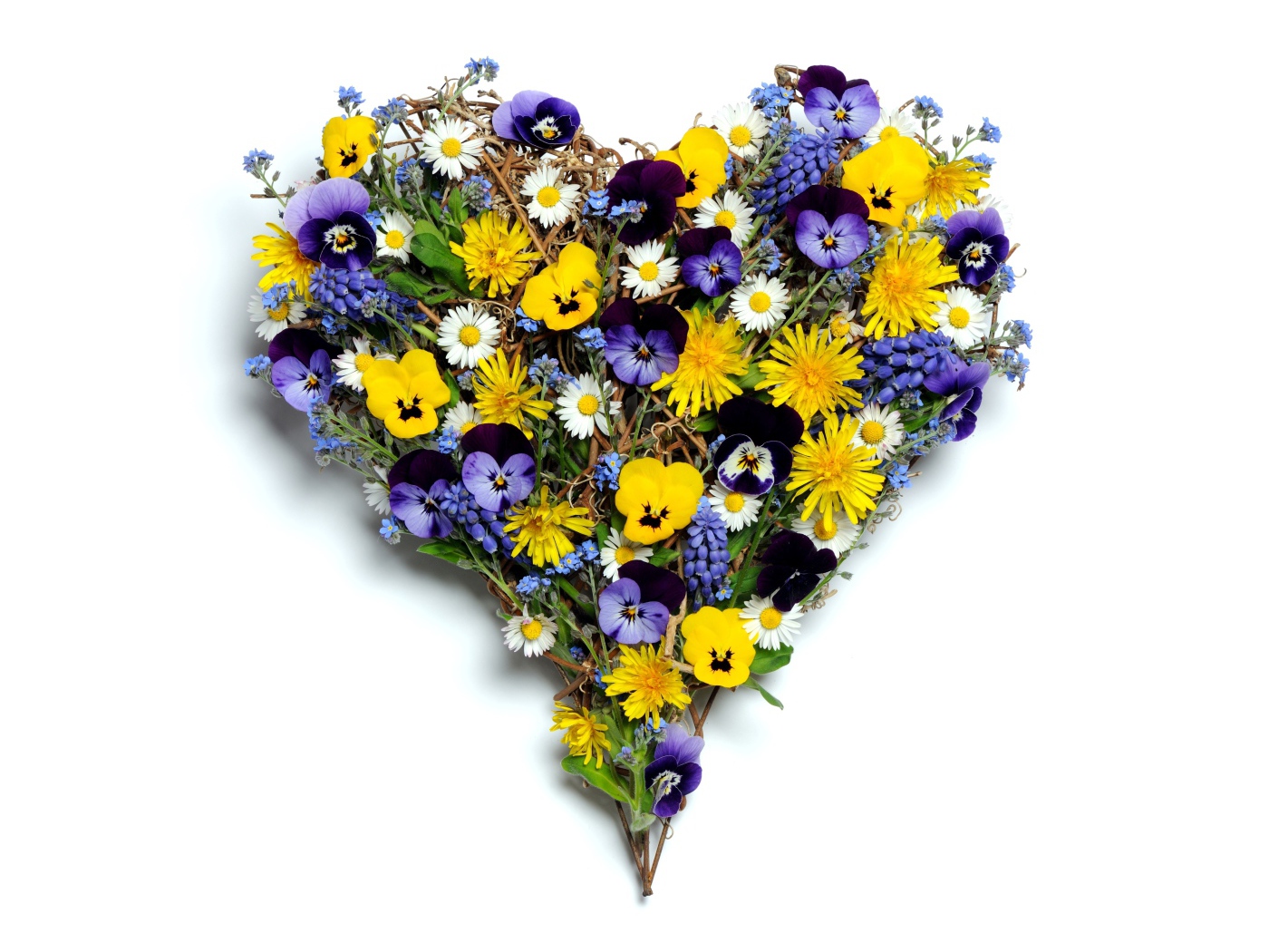 Сердце из полевых цветов на белом фоне