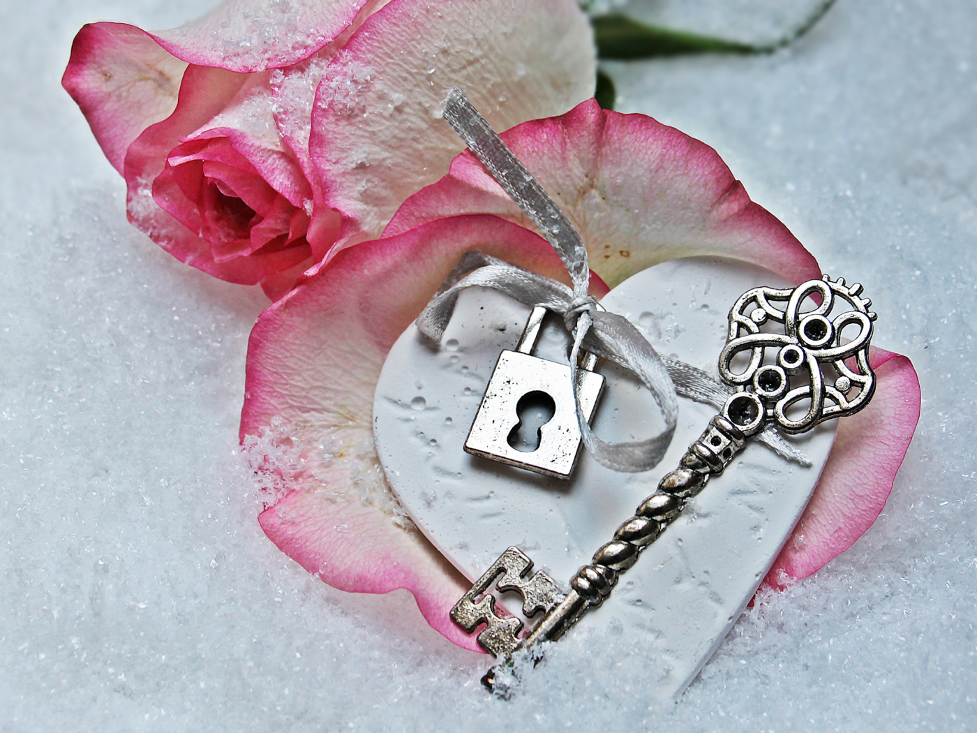 Розовая роза лежит на снегу с ключом