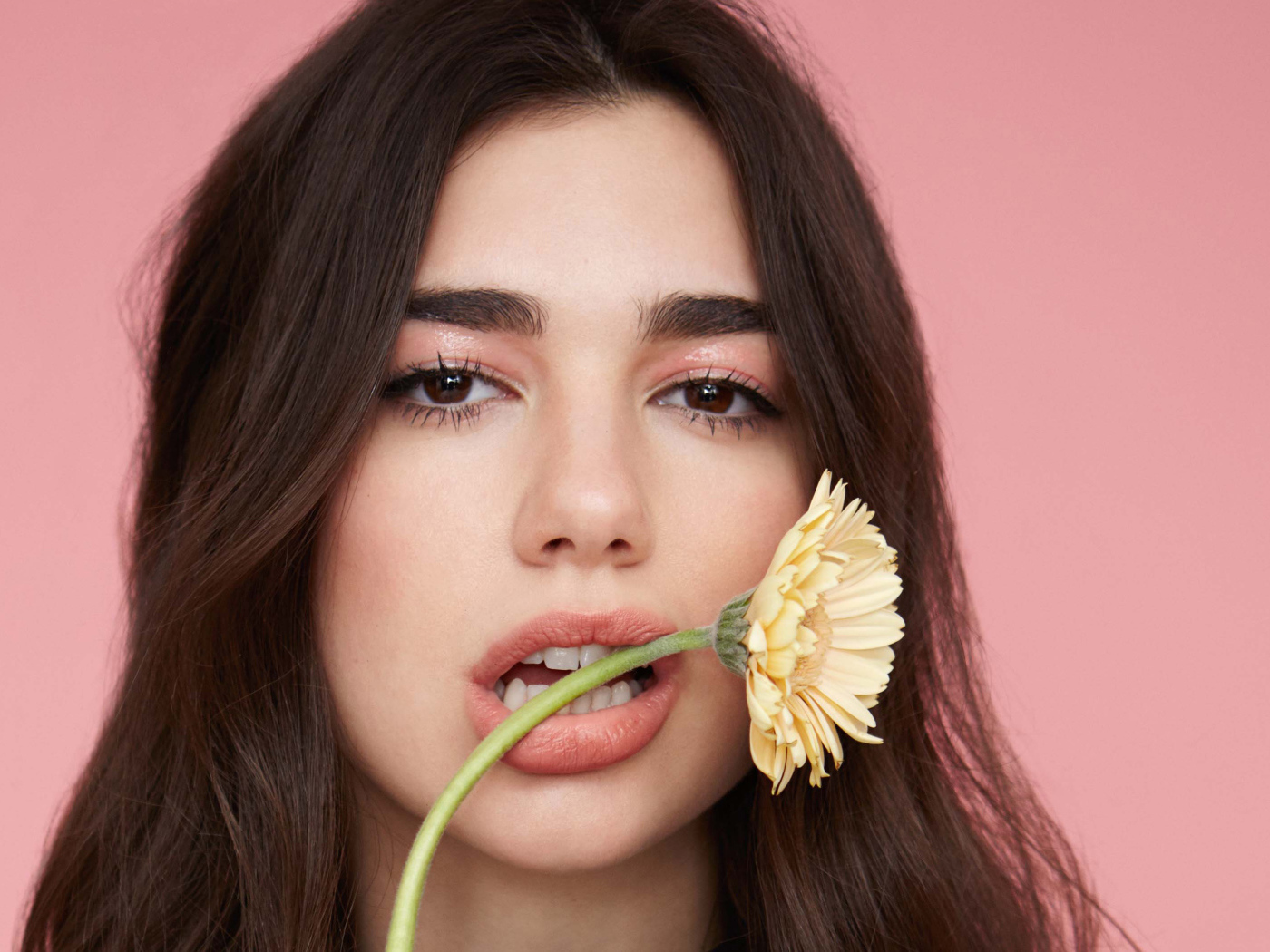 Певица Дуа Липа с цветком герберы во рту