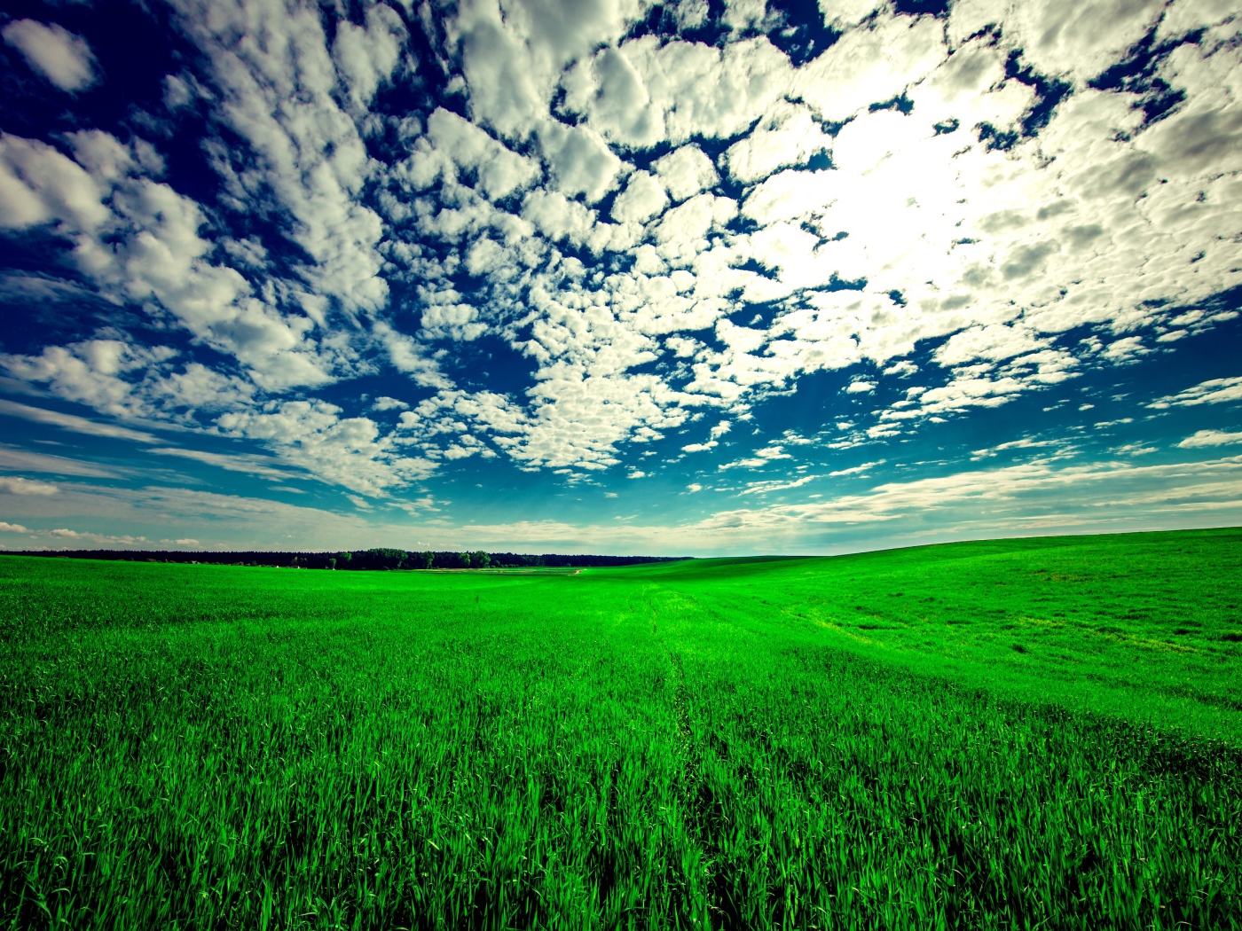Красивые белые облака в голубом небе над зеленым полем