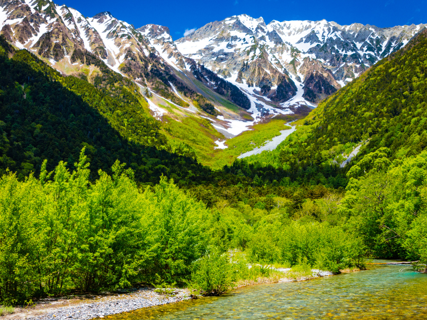 Горная река на фоне заснеженных гор с зеленой растительностью