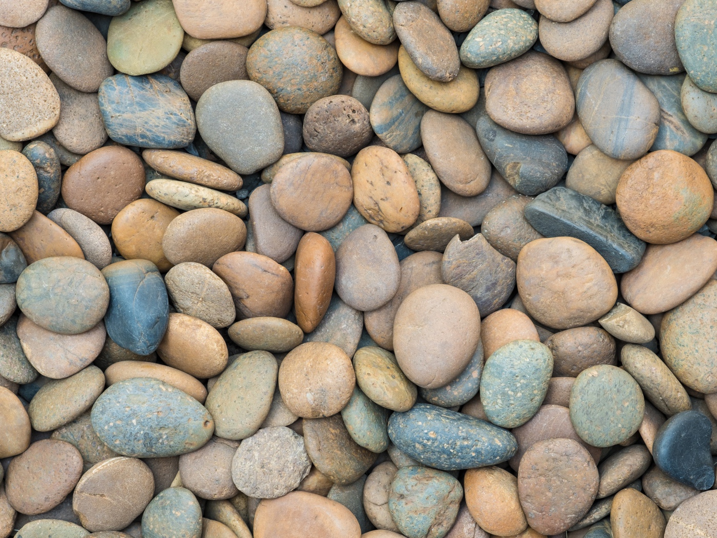 Разноцветные морские камни крупным планом