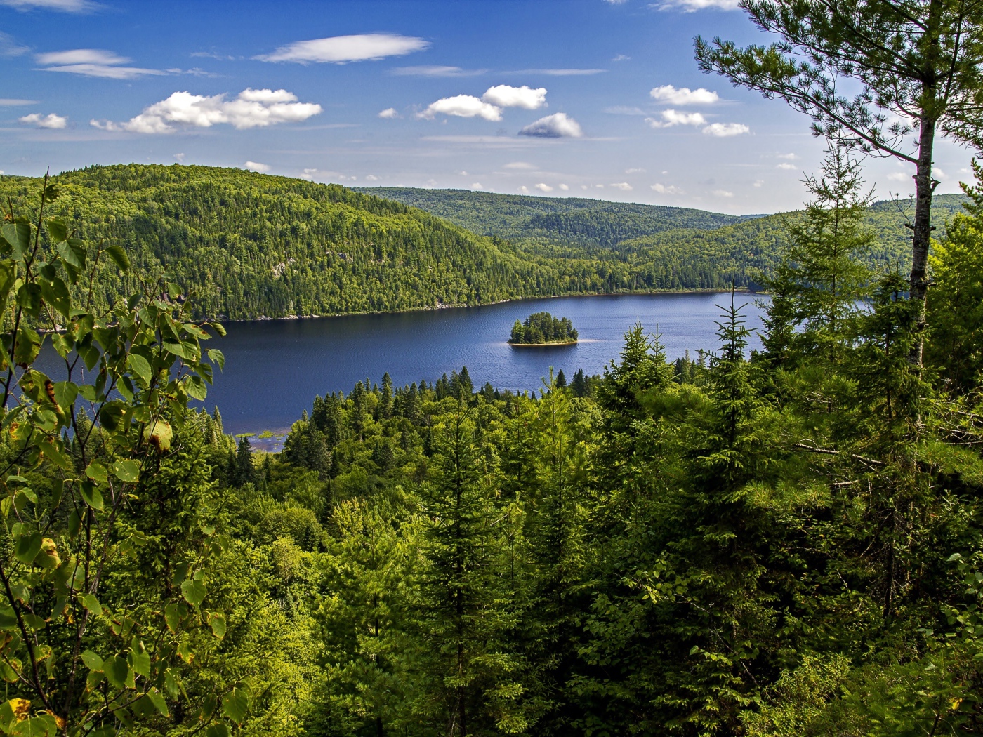 Вид на реку и лес под красивым голубым небом, национальный парк Ла-Мориси. Канада