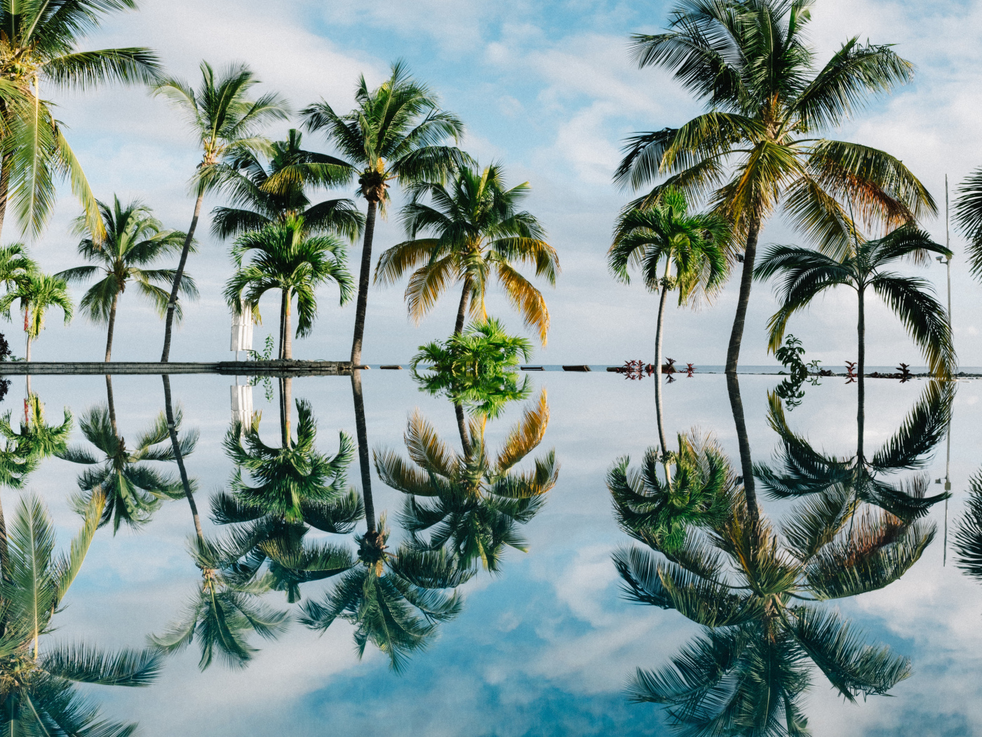 Зеленые пальмы отражаются в воде на пляже 